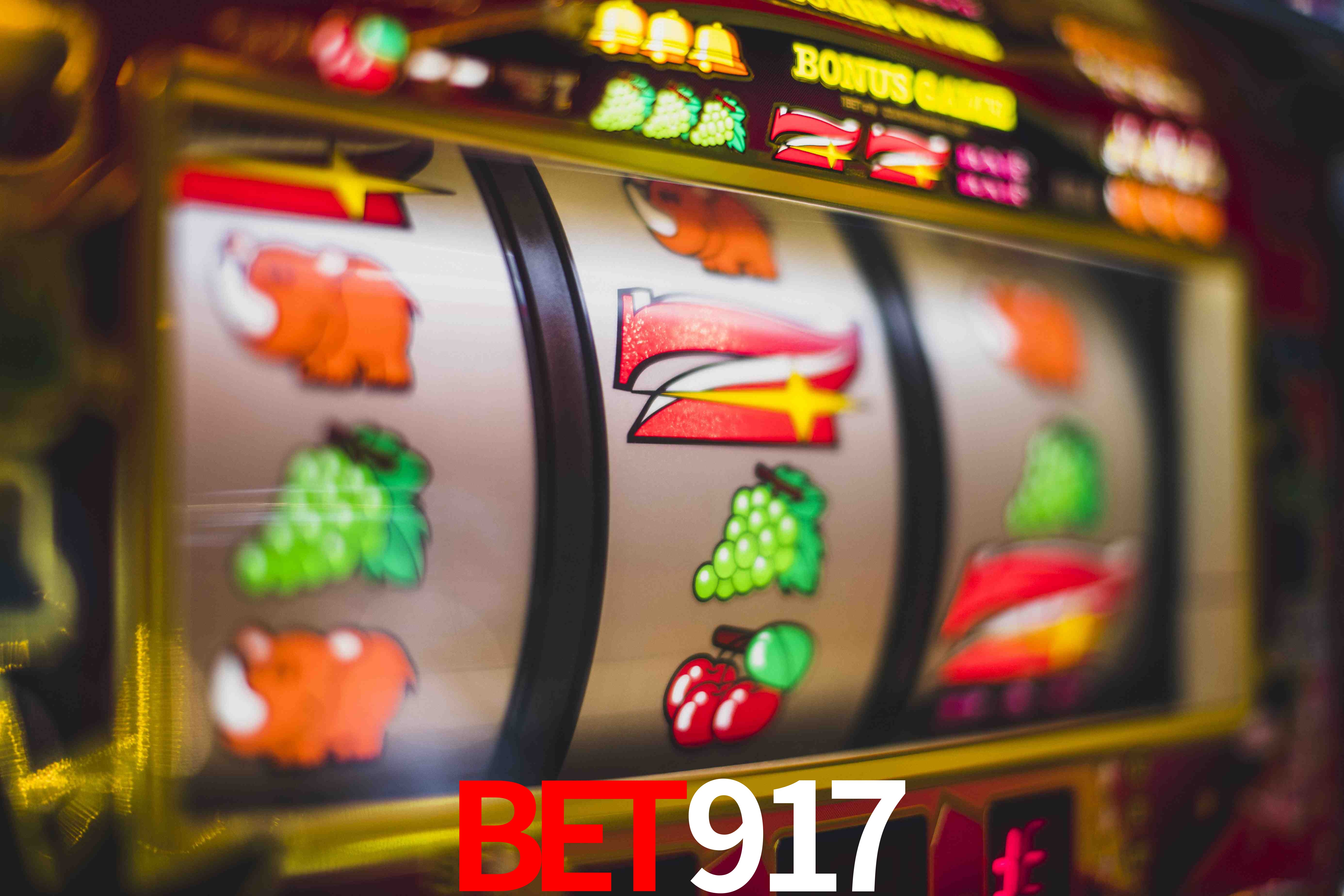 Programa VIP bet917